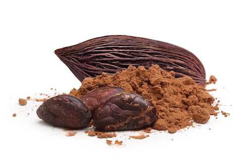 Poudre chocolatée Nodé Négoce vente Afrique