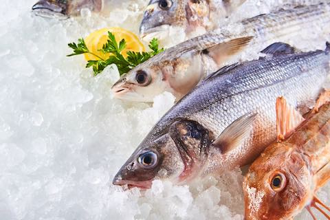 Poisson congelé Nodé Négoce Vente Afrique